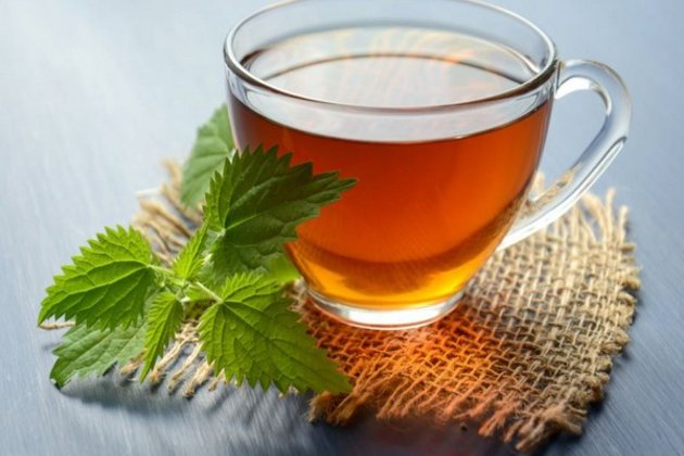 Green tea beneficial for children with Down syndrome