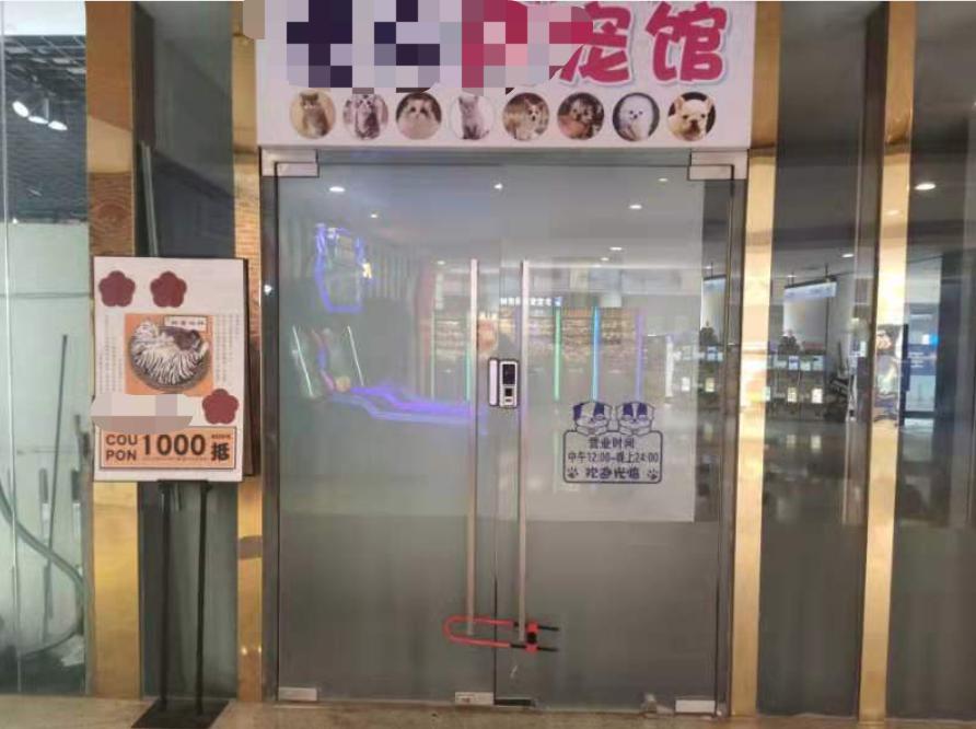 猫咪也能供享？9.9元一天 店主：已全部租完