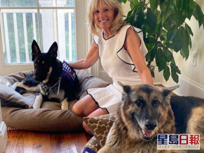 咬白宫职员闯祸 拜登两爱犬被送回乡