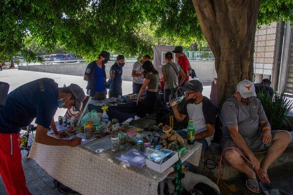 A Green Wave? Mexico’s Marijuana Market May Be Middling
