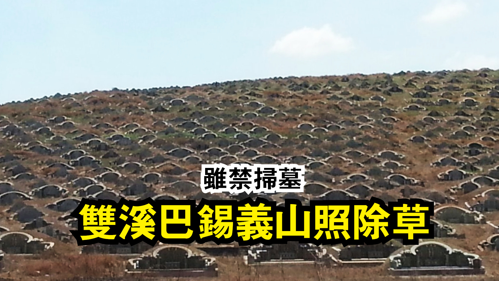 虽禁扫墓 双溪巴锡义山照除草