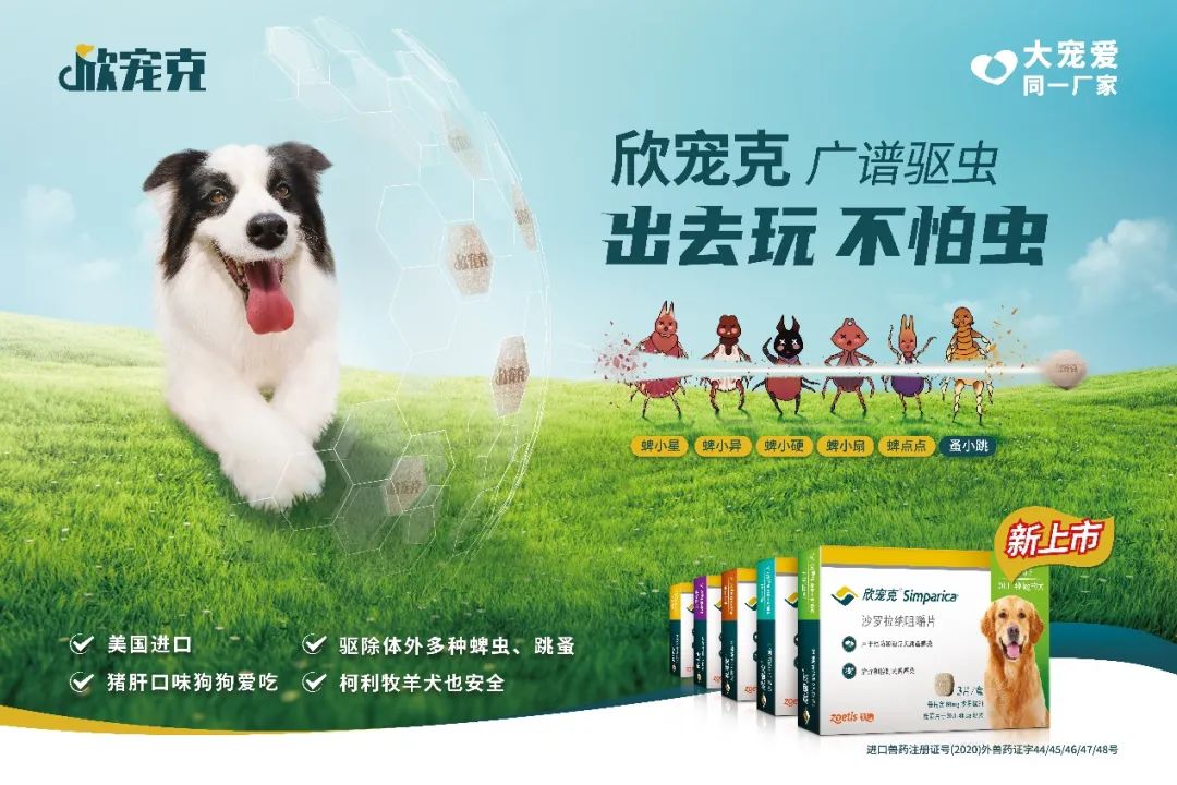 温情让科普更生动，欣宠克联手《宠物医院3》如何用故事打动用户？