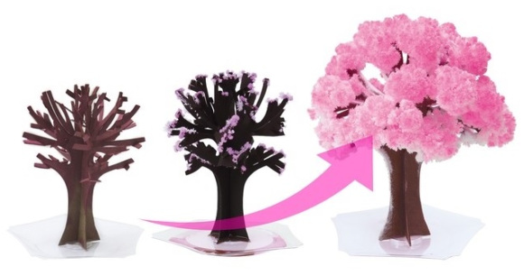 Sakura Magic recreates the full emotional arc of cherry blossom season right on your desk【Photos】