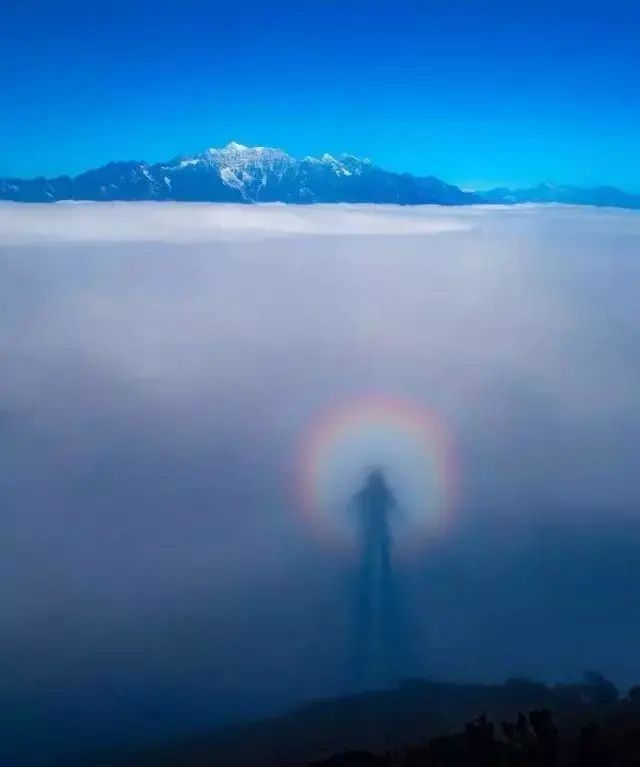 极其诡异，百年来出现在加州的巨大阴影究竟是什么？