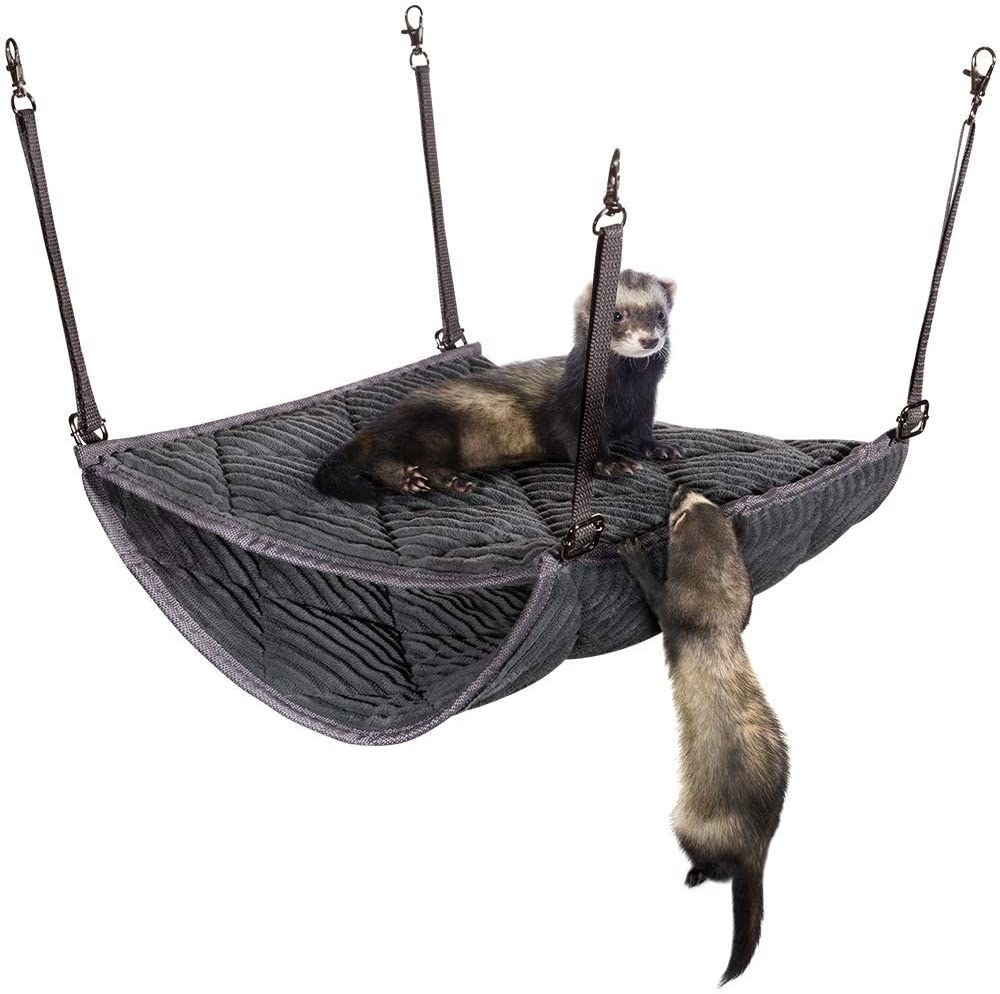 Just 17 Products From Amazon You’ll Probably Want If You Have A Ferret