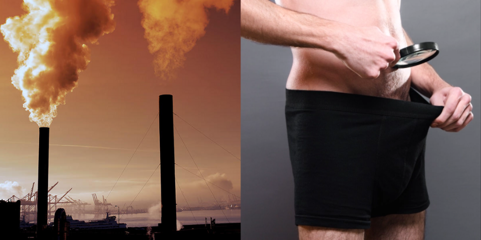 Pollution is apparently causing human penises to shrink