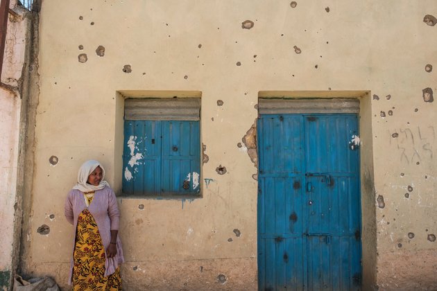 US Appeals for Cease-fire in Ethiopia's Tigray Rejected