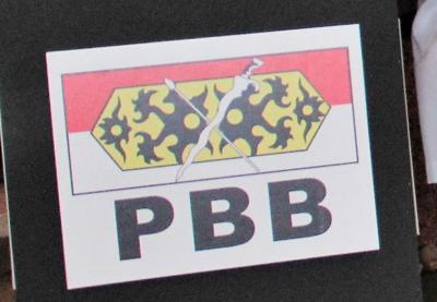 Sarawak’s PBB Youth calls on EC to speed up implementation of Undi18