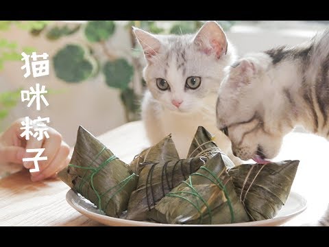 【花花与三猫】甜粽子or咸粽子？呵呵，别争了，你活的还不如一只猫!