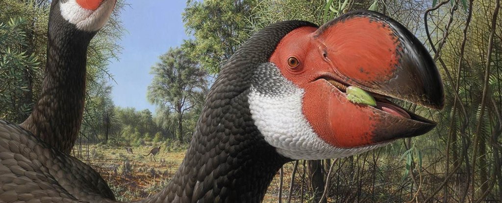 These Huge 'Demon Ducks' With Squished Brains Were an Extreme Evolutionary Experiment