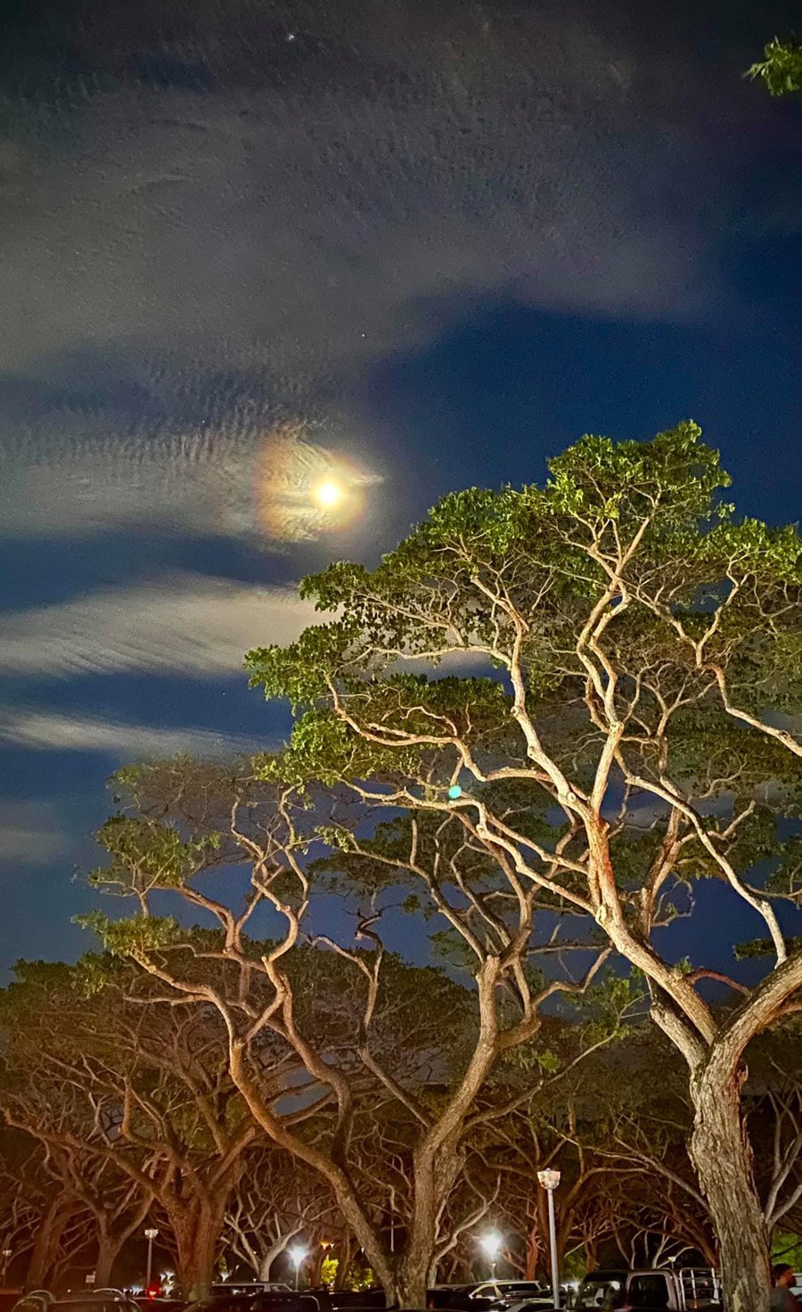 Rainbow halo forms around moon on 26 Mar night, s’pore residents capture rare sight