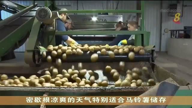 受气候变化影响 粮食保存期限越来越短 