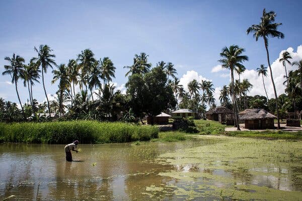 Insurgents Seize Mozambique Town, Killing Several People; Fate of Hundreds Unknown