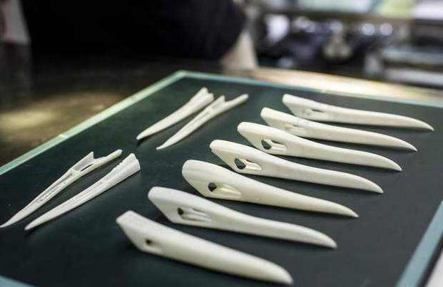 丹顶鹤因打架而断喙，专家为它换上钛合金鸟喙后，立即找对方报仇
