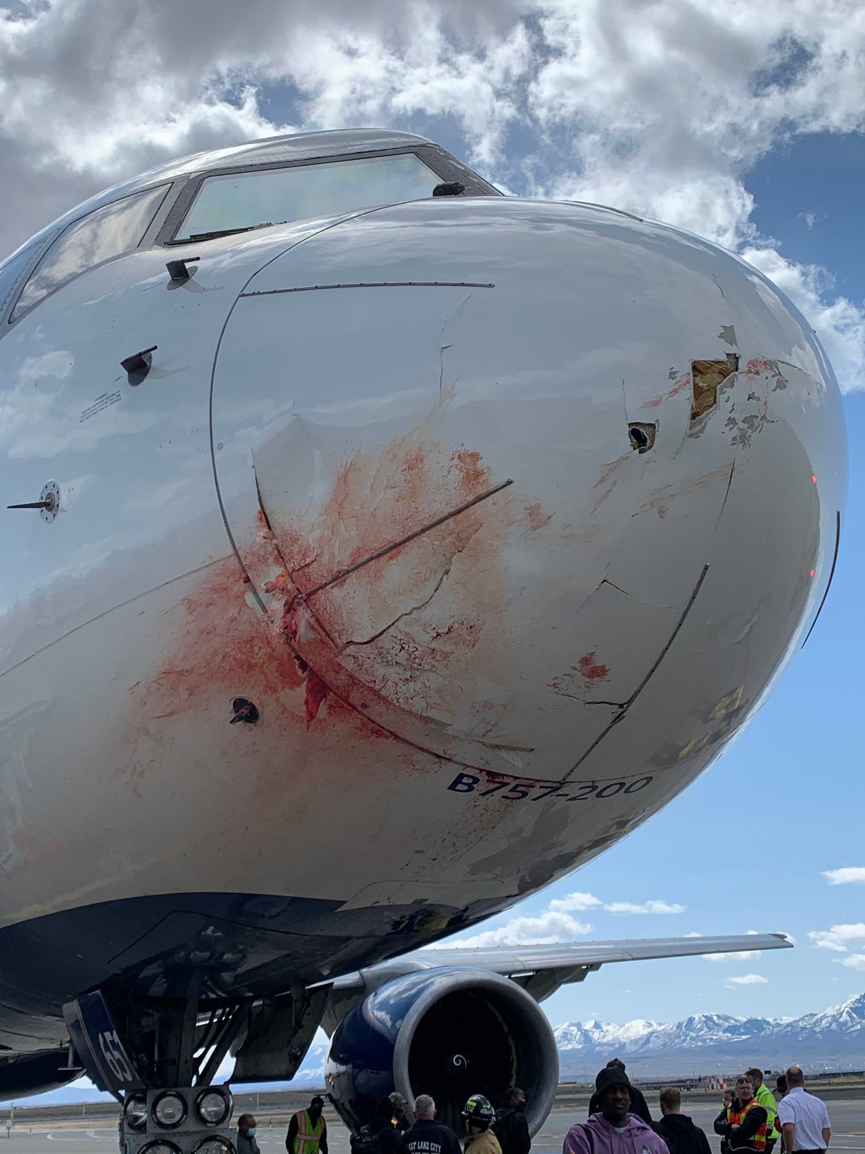 Plane Carrying Utah Jazz Team Forced To Make Emergency Landing After Hitting Flock Of Birds