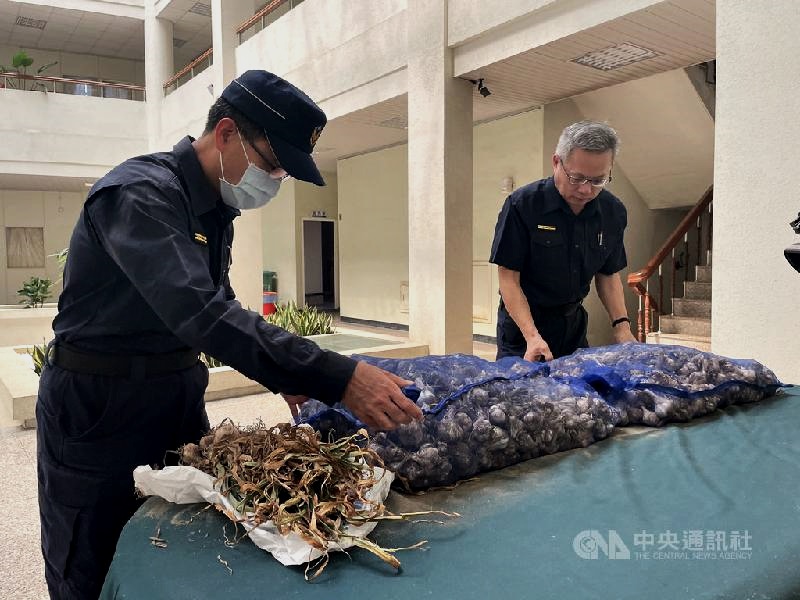 拜完包公顺便偷蒜 妇田间偷蒜头当场被捕