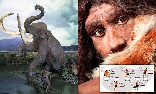 Stone Age humans were HYPERCARNIVORES and survived on mostly meat