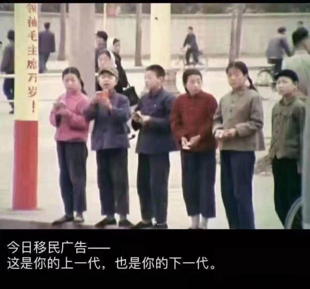 这是你的上一代，也是你的下一代 “移民广告”火了