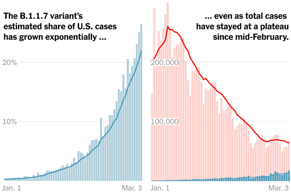 More Contagious Virus Variant Is Now Dominant in U.S., C.D.C. Chief Says