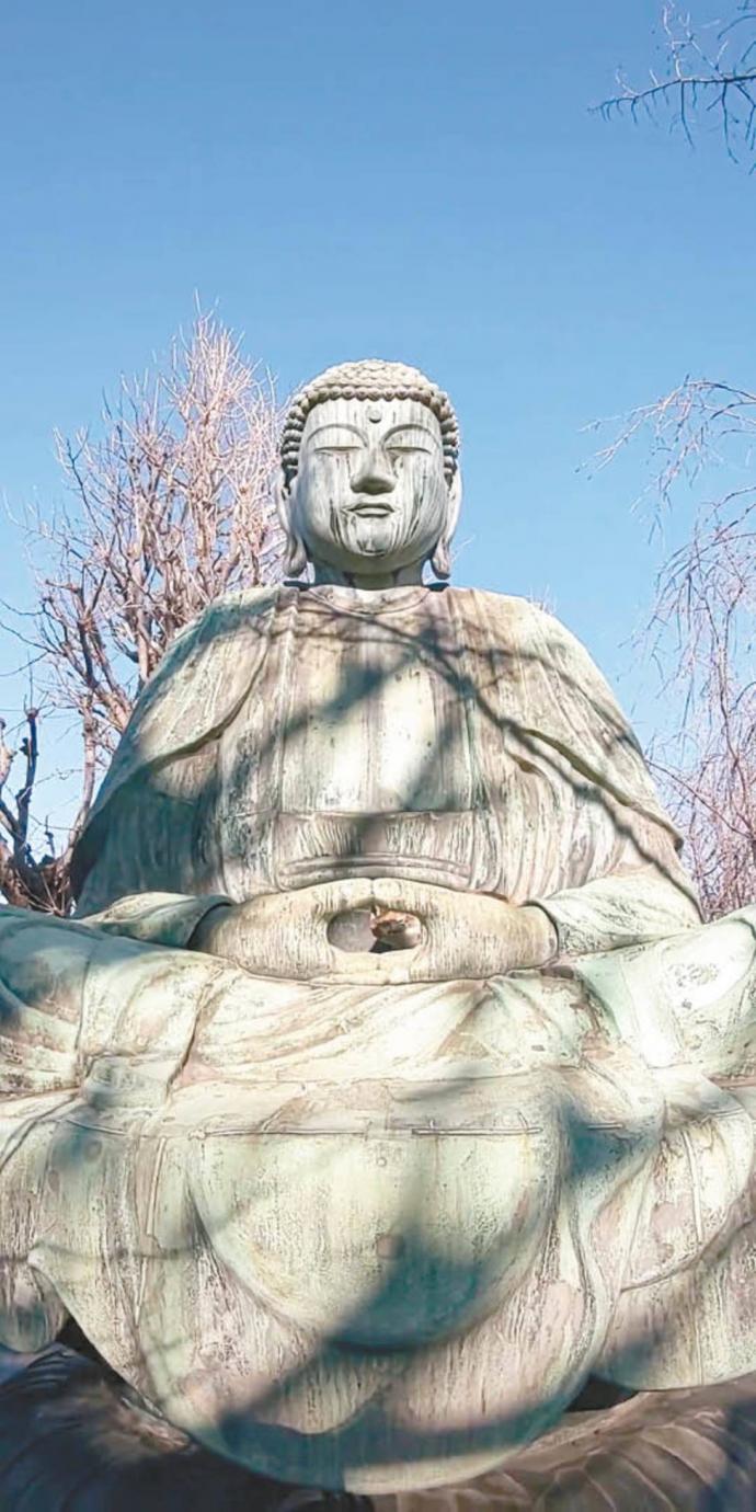 猫躺大佛双掌如修行