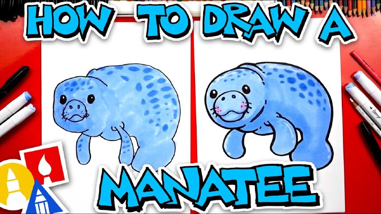How To Draw A Cartoon Manatee | Nestia
