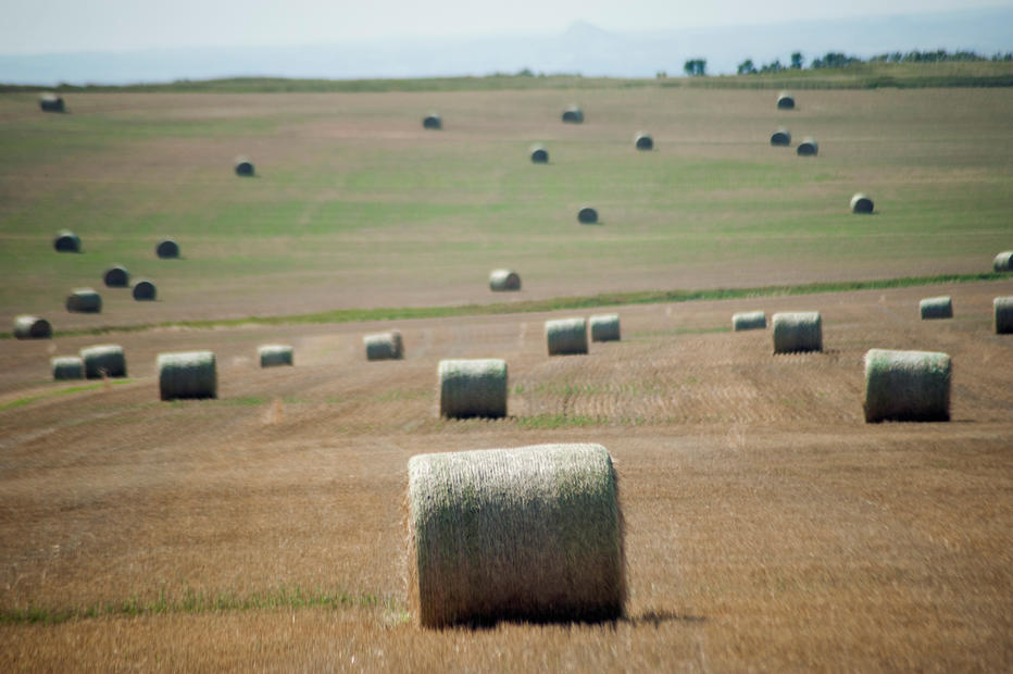 Nervous North American farmers set to 'seed in faith' into parched soils