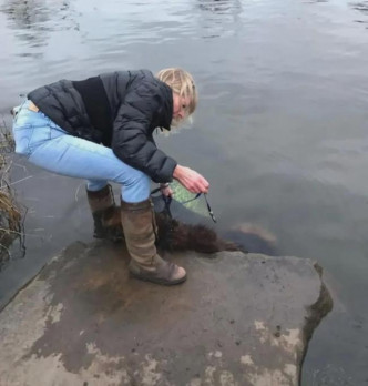 德国牧羊犬被主人绑石沉进河 大难不死命运逆转