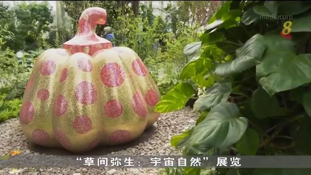 草间弥生室外展览上周末 纽约植物园隆重登场