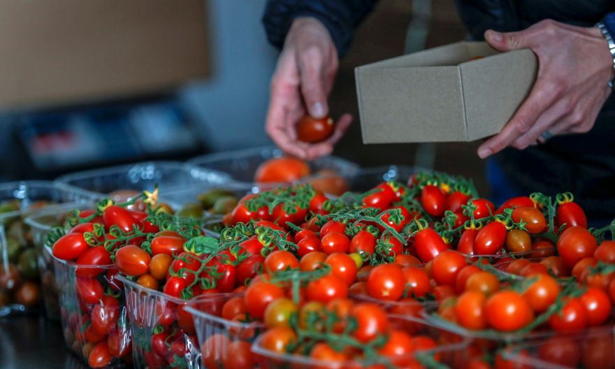 Japan's ketchup maker stops tomato paste imports from China's Xinjiang region