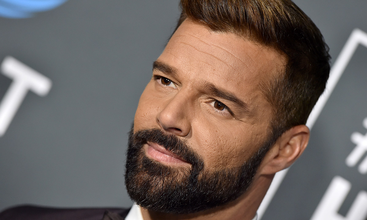 Ricky Martin shares rare picture of twin son as they relax on private jet