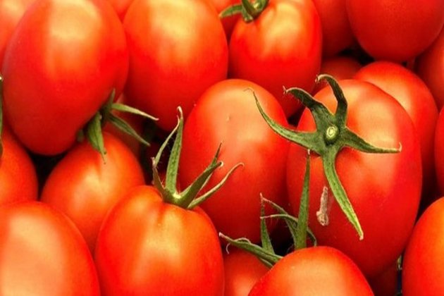 Japan's ketchup king stop Xinjiang tomato