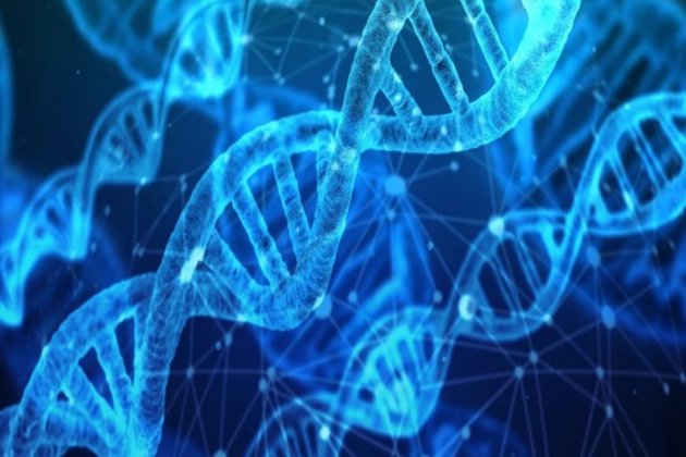 Study reveals genetic link between depression and anxiety