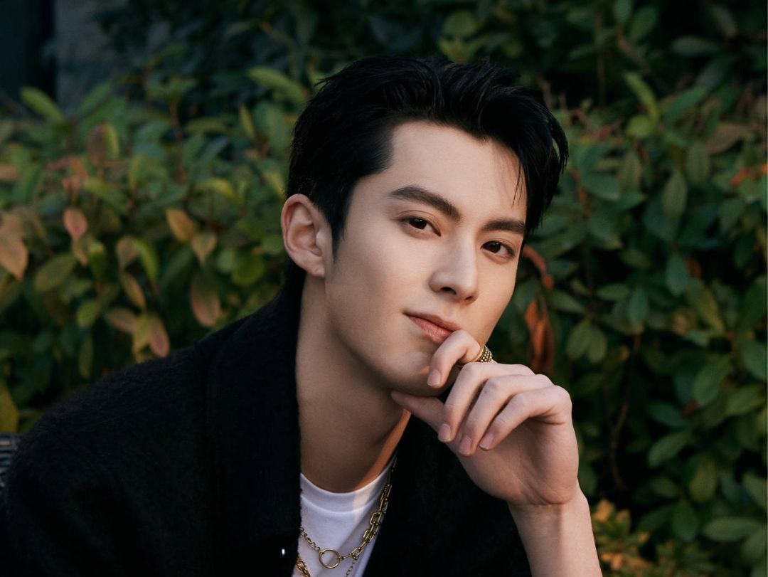 Dylan Wang Hedi Profile