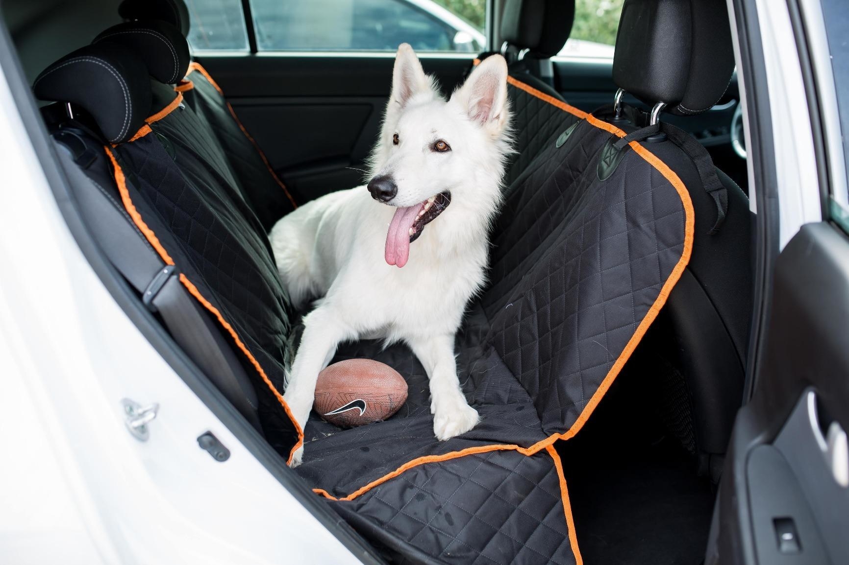 33 Problem-Solving Products For Dog Owners Who Want To Make Their Pup’s Life Easier