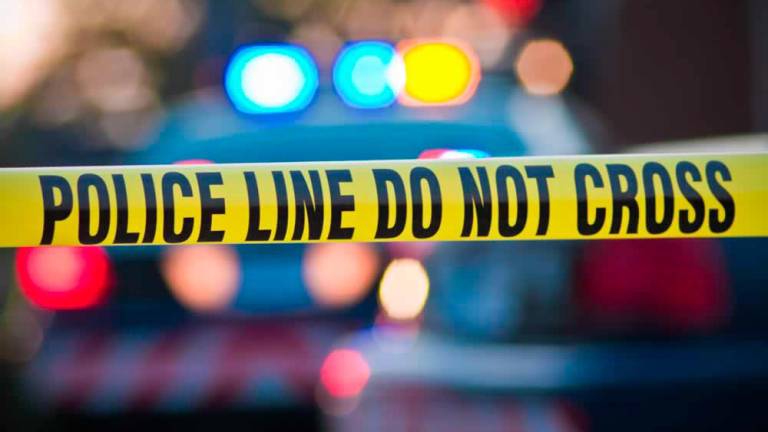 Eight family members killed in Afghanistan mosque shooting
