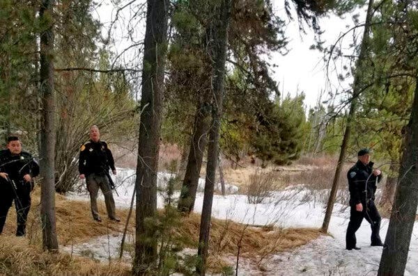 Grizzly Bear Fatally Mauls a Backcountry Guide Near Yellowstone Park