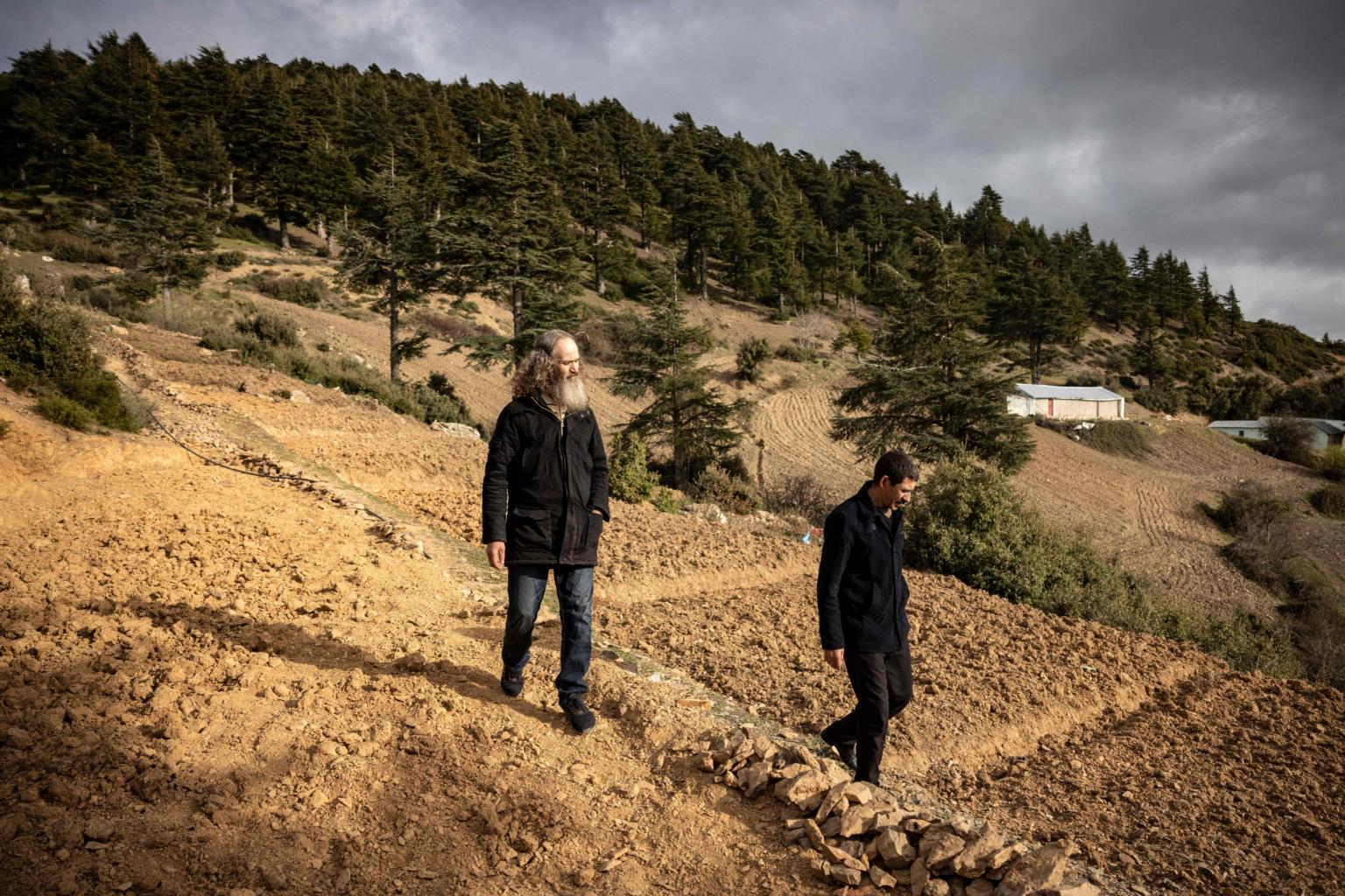 Morocco looks to fear-free hashish farms