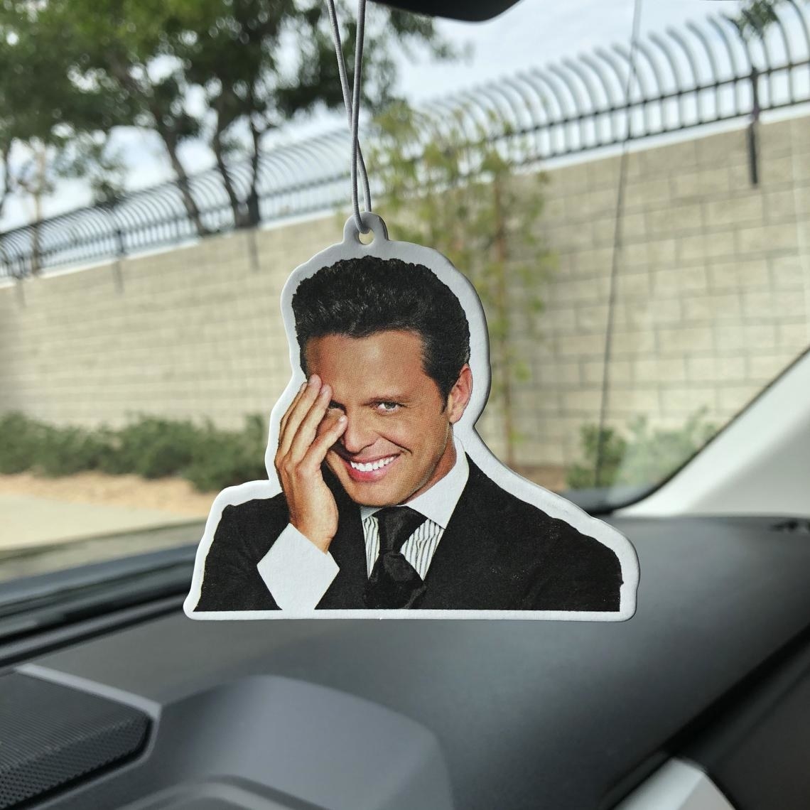 Just 14 Things Any Luis Miguel Fan Will Think Are Caliente Como El Sol