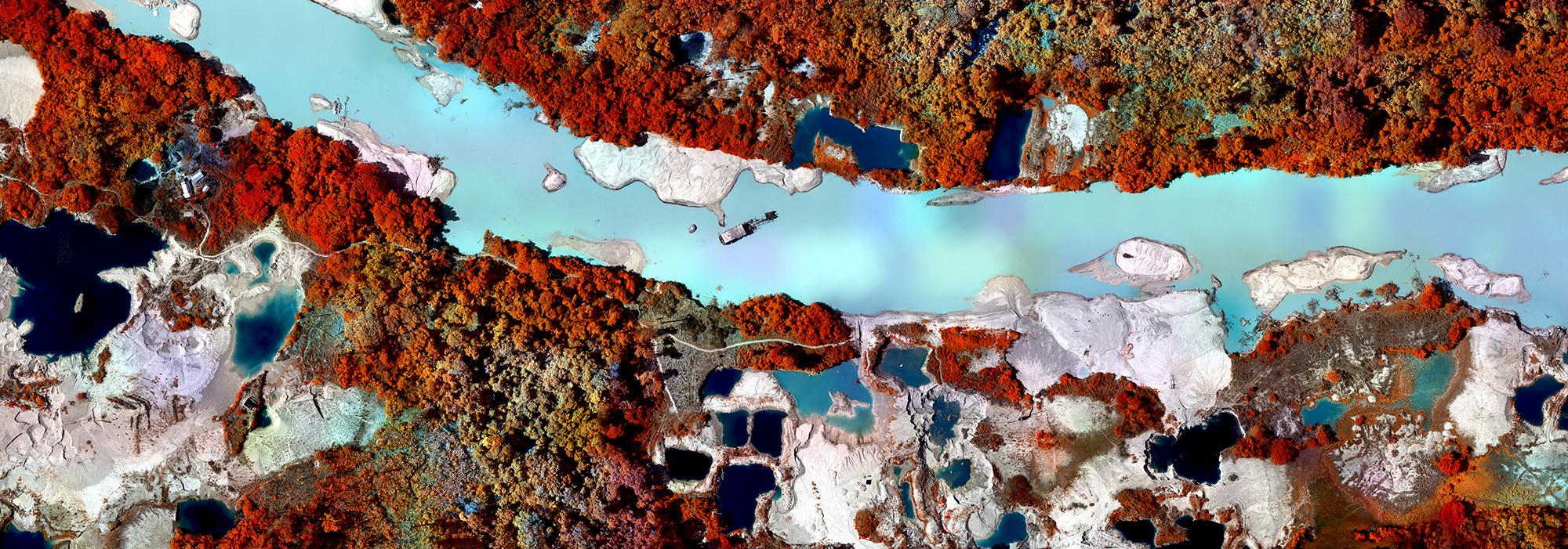 You've Definitely Never Seen The Amazon Rainforest Like This