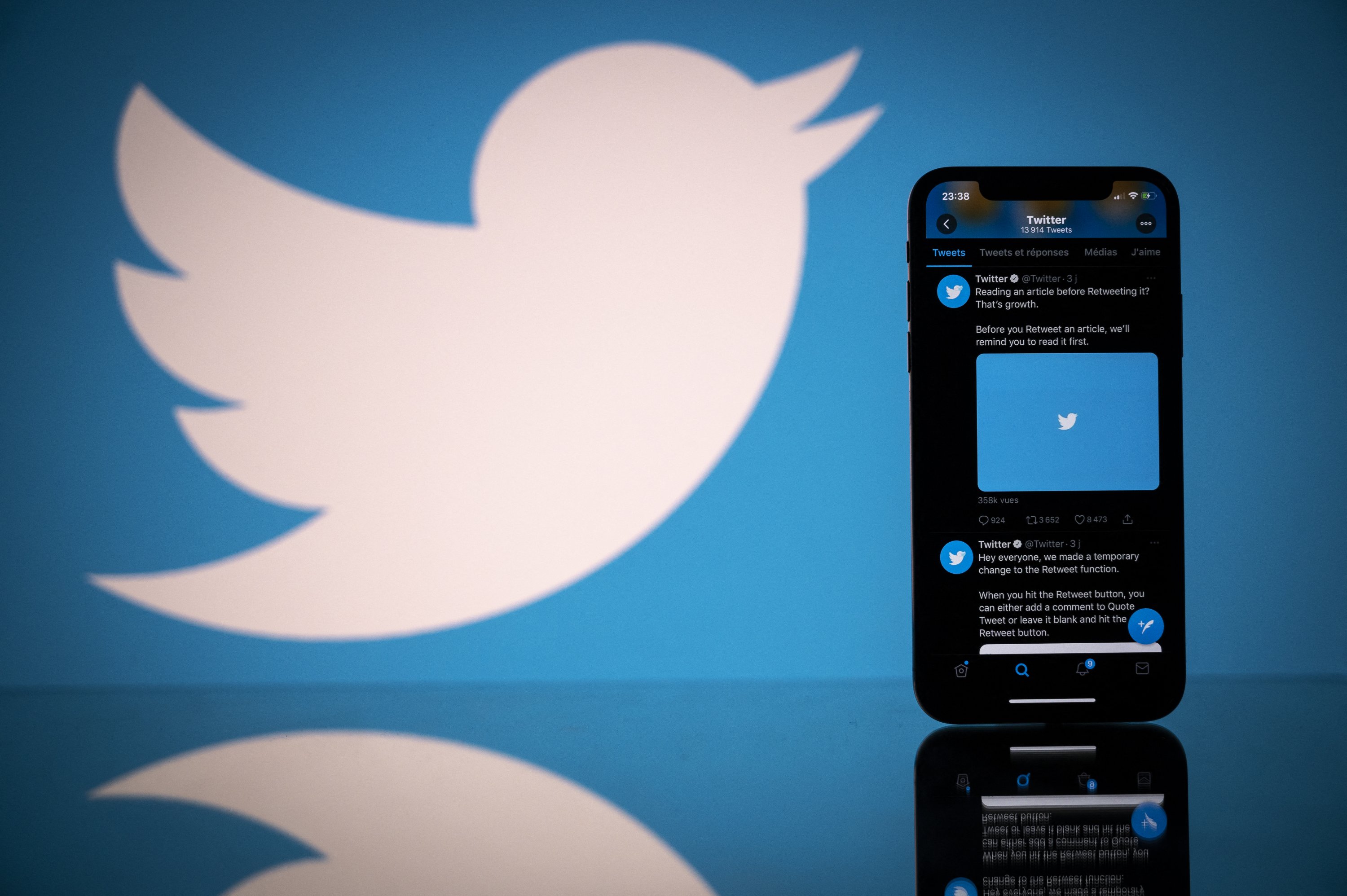 Ameronothrus twitter: New bug discovery proves mite of Twitter