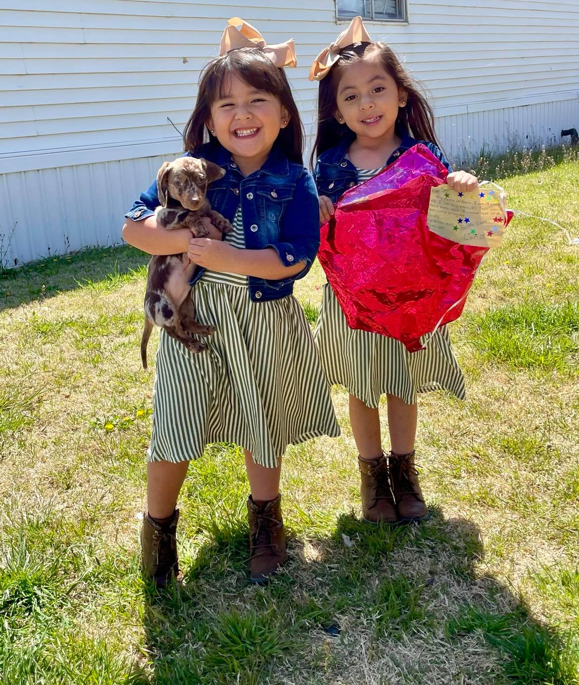 Stranger Gifts 4-Year-Old Twins a Puppy After Finding Balloon Containing Their Gift Wish List