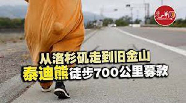 从洛杉矶走到旧金山 “泰迪熊”徒步700公里募款