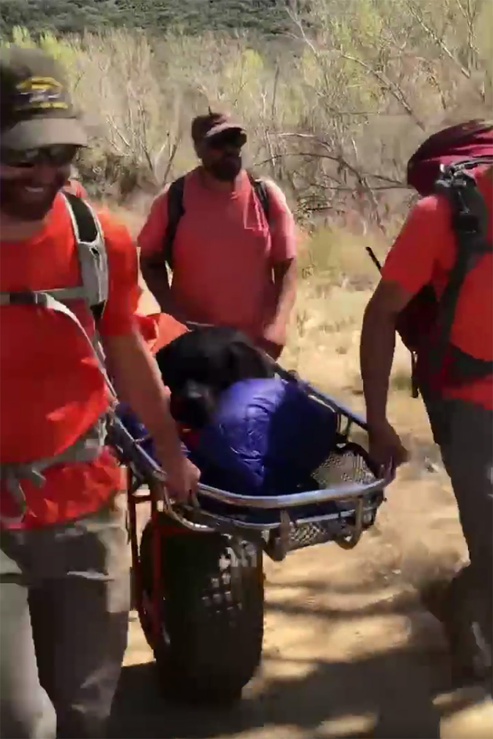 Rescuers Carry Rottweiler Over 4 Miles After Dog Injures Her Paw on Hike in California Forest