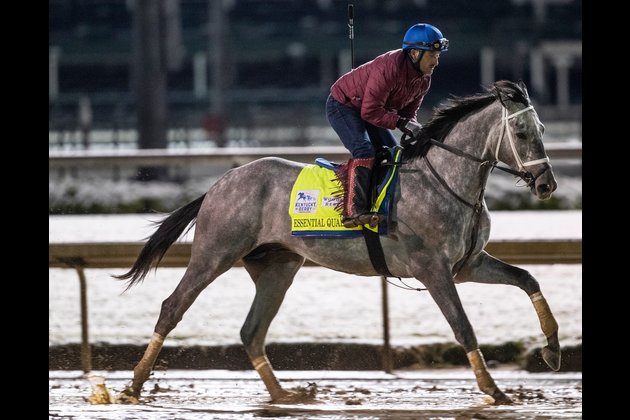 Essential Quality, a 2-1 favorite, draws post 14 for Derby