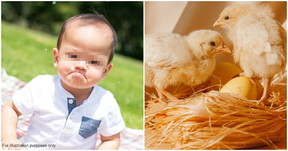 Principal In China Claims That Her Students Can Hatch Boiled Eggs With Their Minds