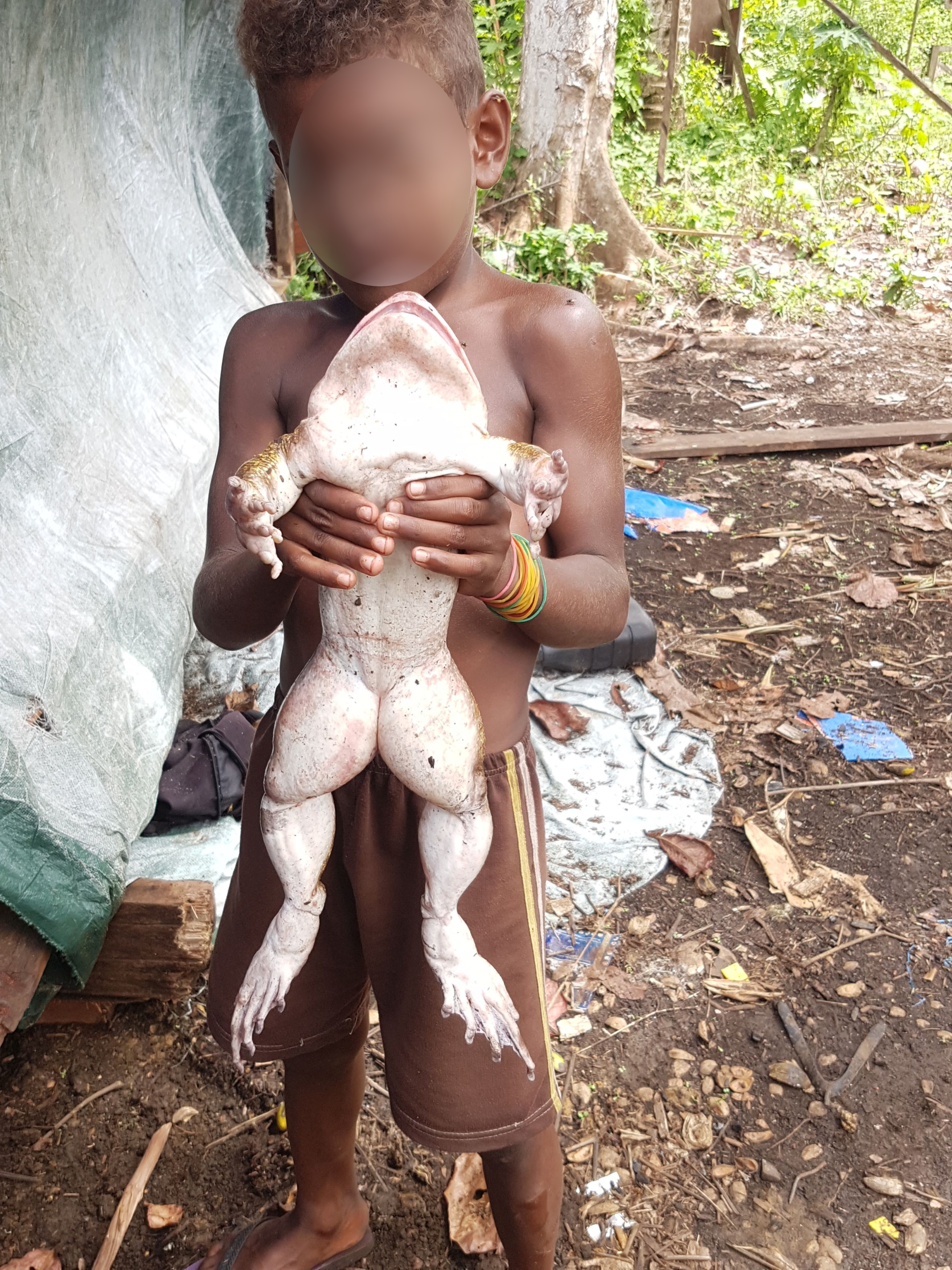 Villagers Stunned After Discovering Enormous Frog 'As Big As Human Baby'