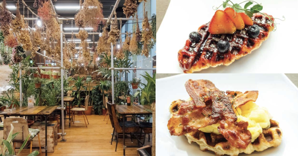 Cafe at Somerset has all-you-can-eat 'croffle' pastry buffet for S$9.90++, 9am to 11am daily