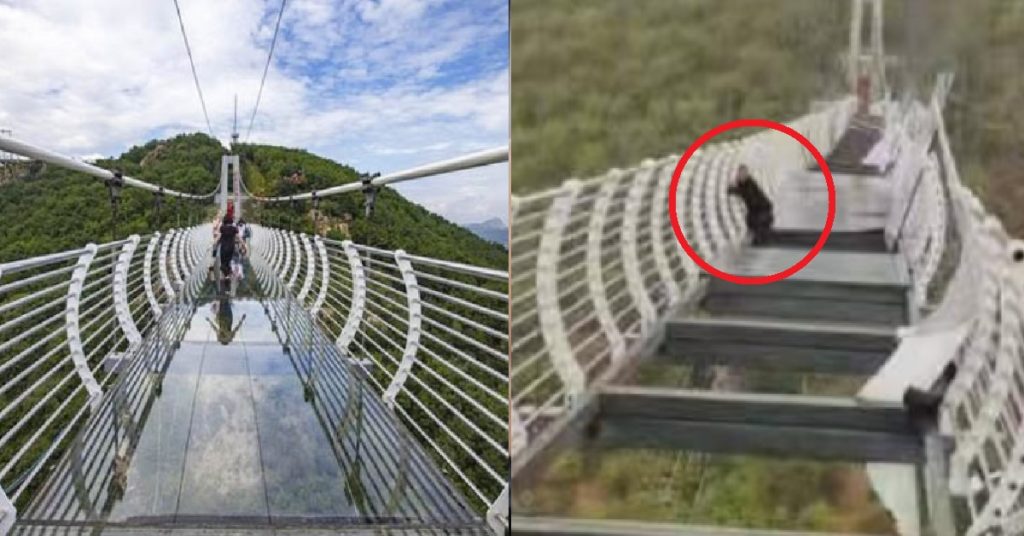 China man stuck in 100m high glass bridge after glass breaks, holds on for his life
