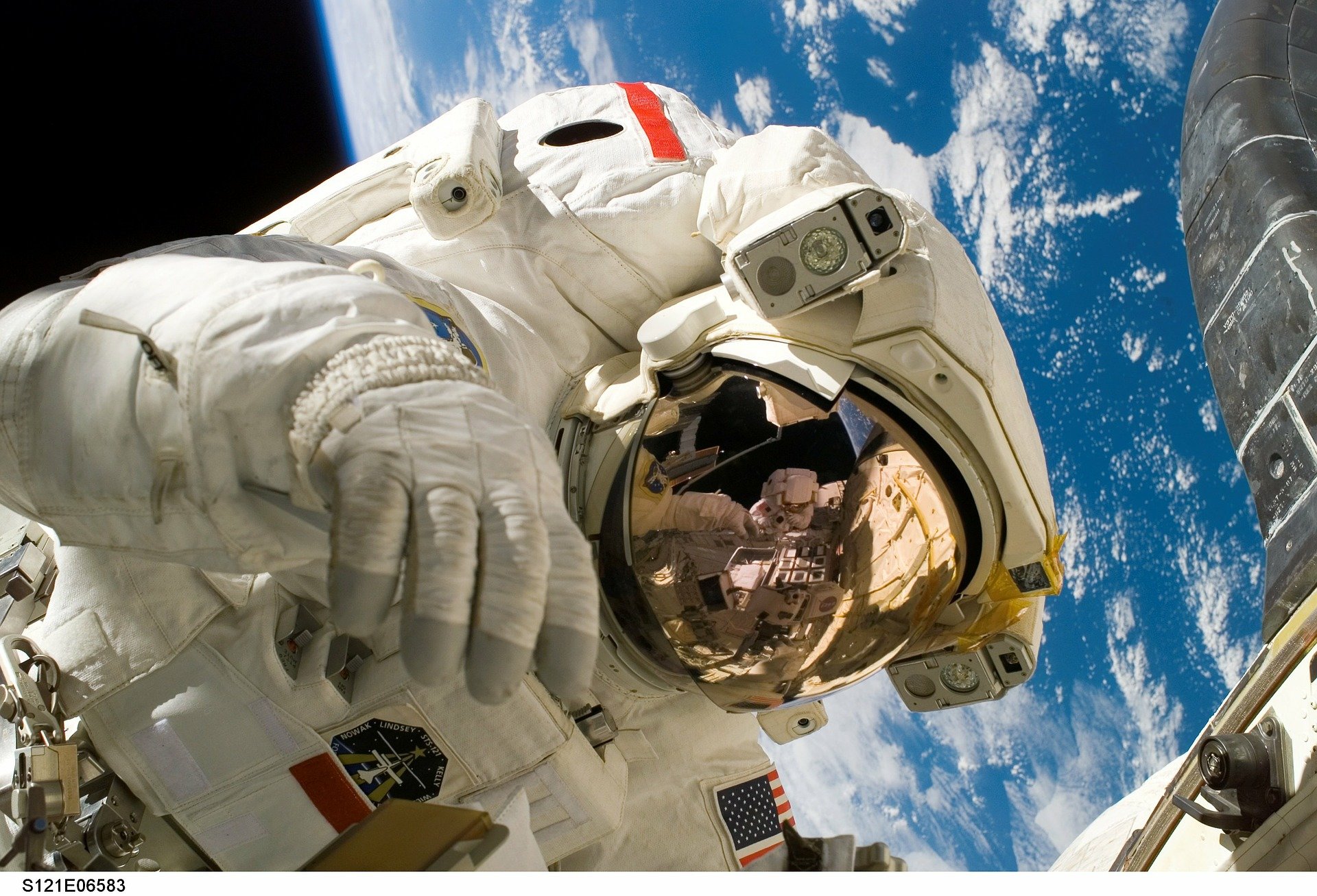 Understanding astronaut muscle wasting at the molecular level