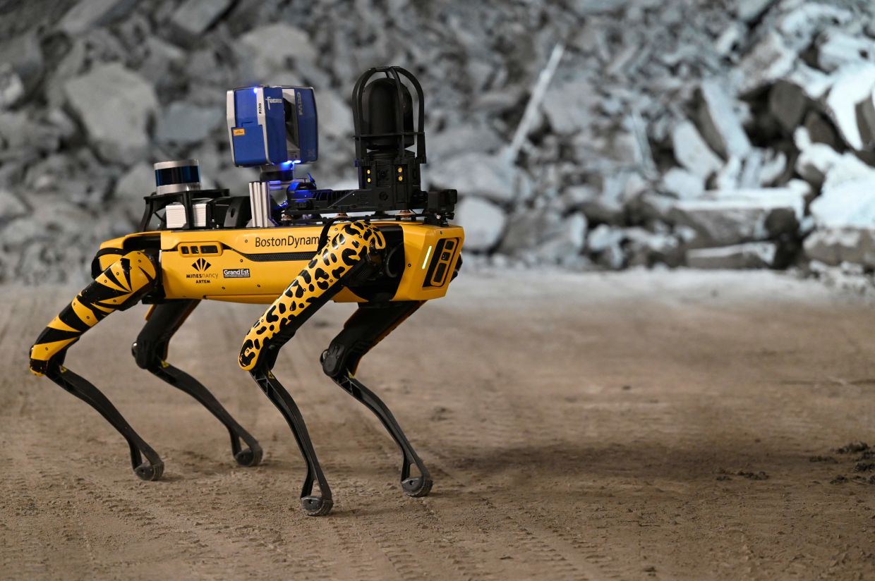 Researchers’ new best friend? Robot dog gets to work